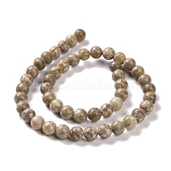 Natural Maifanite/Maifan Stone Beads Strands&nbsp;G-I187-4mm-01