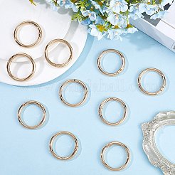 10Pcs Alloy Spring Gate Rings&nbsp;FIND-SP0001-38G