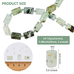 2 Strands Natural Prehnite Beads Strands&nbsp;G-FH0002-37