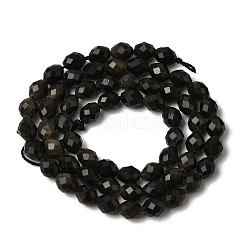 Natural Golden Sheen Obsidian Beads Strands&nbsp;G-K376-F11-01