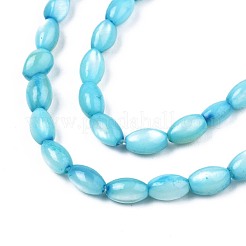 Freshwater Shell Beads Strands&nbsp;SHEL-T009-B15-05