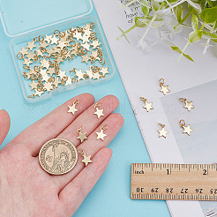 60Pcs 304 Stainless Steel Charms&nbsp;PALLOY-ME00005