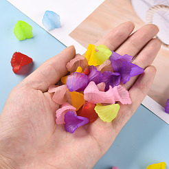 Transparent Acrylic Bead Caps&nbsp;PL551M