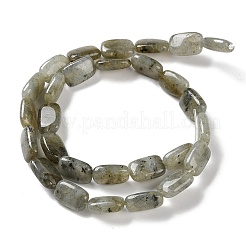 Natural Labradorite Beads Strands&nbsp;G-K357-D16-01