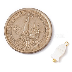 Natural Freshwater Shell Fish Charms&nbsp;PALLOY-JF02820