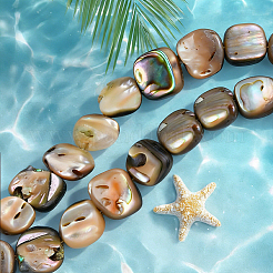 1 Strand Natural Paua Shell Beads Strands&nbsp;BSHE-PA0001-07