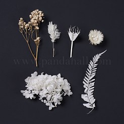 Dried Flowers&nbsp;X-DIY-D052-04