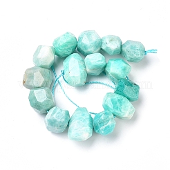 Natural Amazonite Beads Strands&nbsp;G-I283-C03