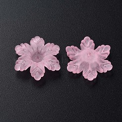 Transparent Acrylic Beads&nbsp;MACR-S373-117-D12