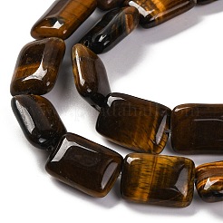 Natural Tiger Eye Beads Strands&nbsp;G-T047-B22-01