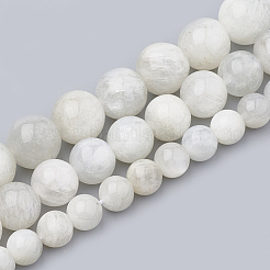 Natural Rainbow Moonstone Beads Strands&nbsp;G-S333-10mm-002