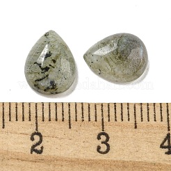 Natural Labradorite Cabochons&nbsp;G-Q173-02C-07
