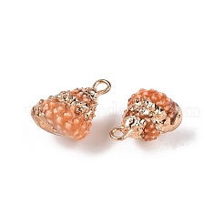 Natural Sea Shell Pendants&nbsp;SSHEL-N038-44