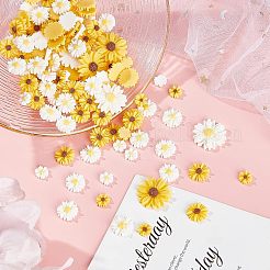 110Pcs 6 Style Flatback Hair & Costume Accessories Ornaments Scrapbook Embellishments Resin Flower Daisy Cabochons&nbsp;CRES-FH0001-08