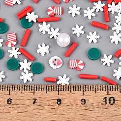 Handmade Polymer Clay Cabochons&nbsp;CLAY-N013-13