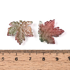 Baking Paint Transparent Glass Pendants&nbsp;DGLA-N014-11B-01