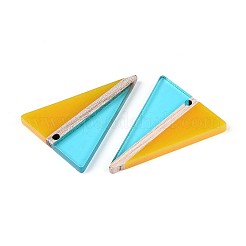 Transparent Resin & Wood Pendants&nbsp;RESI-T057-76