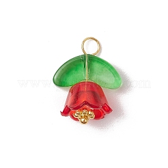 Glass Pendants&nbsp;PALLOY-JF03355