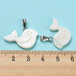 Natural Freshwater Shell Pendants&nbsp;PALLOY-Q462-04P