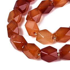 Dyed Natural Red Agate Beads Strands&nbsp;G-Q608-11C