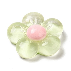 Translucent Resin Cabochons&nbsp;X-RESI-C034-04