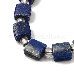 Natural Lapis Lazuli Beads Strands&nbsp;G-Z087-D01