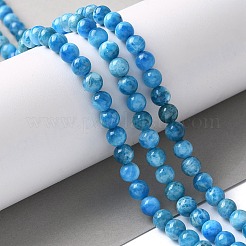 Natural Apatite Beads Strands&nbsp;G-I254-08H