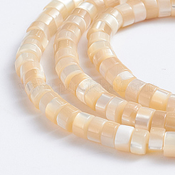 Natural Trochid Shell/Trochus Shell Beads Strands&nbsp;X-SSHEL-L016-13B