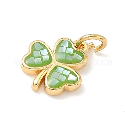Brass Enamel Pendants&nbsp;KK-H534-13G-01