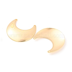 Brass Pendants&nbsp;KK-M261-20G