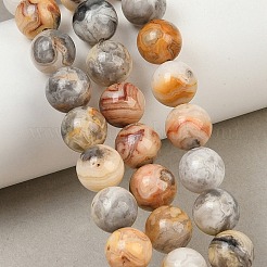 Natural Crazy Lace Agate Beads Strands&nbsp;G-S259-38-10mm
