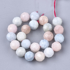 Natural Morganite Beads Strands&nbsp;G-S345-6mm-012