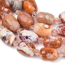 Natural Fire Crackle Agate Beads Strands&nbsp;G-K393-G01-10x14