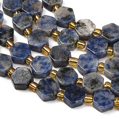 Natural Blue Spot Jasper Beads Strands&nbsp;G-F833-B16-01