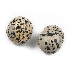 Natural Dalmatian Beads&nbsp;G-G348-01B-48