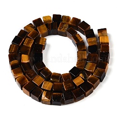 Natural Tiger Eye Beads Strands&nbsp;G-T139-6x6-29A