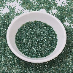 MIYUKI Delica Beads&nbsp;SEED-JP0008-DB0917