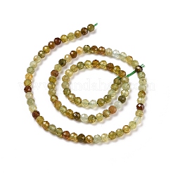 Natural Green Garnet Beads Strands&nbsp;G-C009-A25