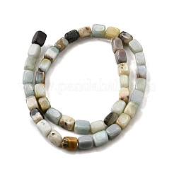 Natural Flower Amazonite Beads Strands&nbsp;G-F791-C06