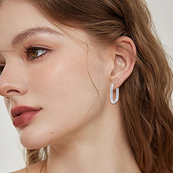 6 Pairs 2 Colors 304 Stainless Steel Oval Hoop Earrings&nbsp;EJEW-BBC0002-37B