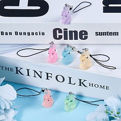 Resin Mobile Straps&nbsp;HJEW-SW00081