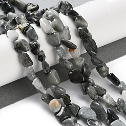 Natural Eagle Eye Stone Beads Strands&nbsp;X-G-P497-01C-52
