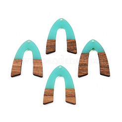 Transparent Resin & Walnut Wood Pendants&nbsp;RESI-N025-029-C04
