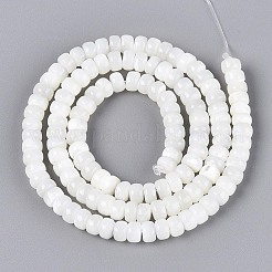 Natural Trochid Shell/Trochus Shell Beads Strands&nbsp;BSHE-T014-54A