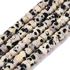 Natural Dalmatian Jasper Beads Strands&nbsp;G-Q606-46A-01