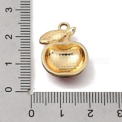 Alloy Enamel Pendants&nbsp;FIND-B067-03G