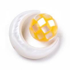 Natural Freshwater Shell Beads&nbsp;SSHEL-N032-51-A02