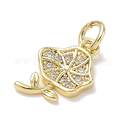 Brass with Rhinestone Charms&nbsp;KK-CBAD872-01G-07