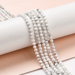 Natural Howlite Beads Strands&nbsp;X-G-E608-A01-B