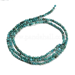 Natural HuBei Turquoise Beads Strands&nbsp;GG-CBA767B-A02